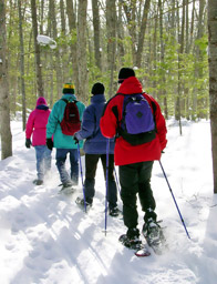 Turn Your Vacation Days into Pure Michigan Snow Days