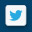 Twitter Icon