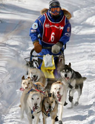 Celebrating 26 Years of Marquette’s UP 200 Sled Dog Race