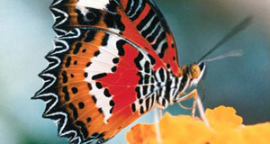 Head to Grand Rapids for Spring Adventure