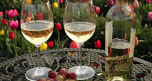 Celebrate the Fruit of the Vine