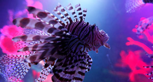 New Adventures and Treasured Memories