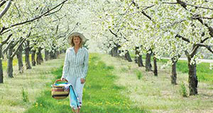 Traverse City Welcomes Spring with a Symphony of Cherry Blossoms
