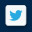 Twitter Icon