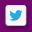 Twitter Icon