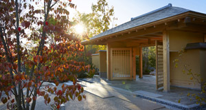 Tour a Spectacular New Japanese Garden