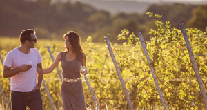 A Toast to Autumn with Traverse City Spirits