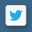Twitter Icon