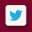 Twitter Icon