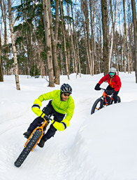 Explore the Backcountry on a Fat-tire Bike