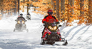 Rev Up for Trail Blazing