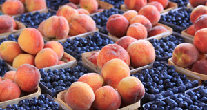 20 Things You Might Not Have Known About Michigan Farm Products