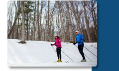 Experience Michigan’s Most Exhilarating Season