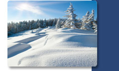 Winter Fun in Big Snow Country