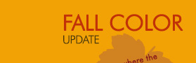 Fall Color Update