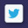 Twitter Icon