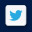 Twitter Icon